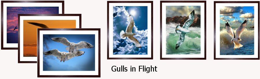 Gulls in Flight Art Framed Prints